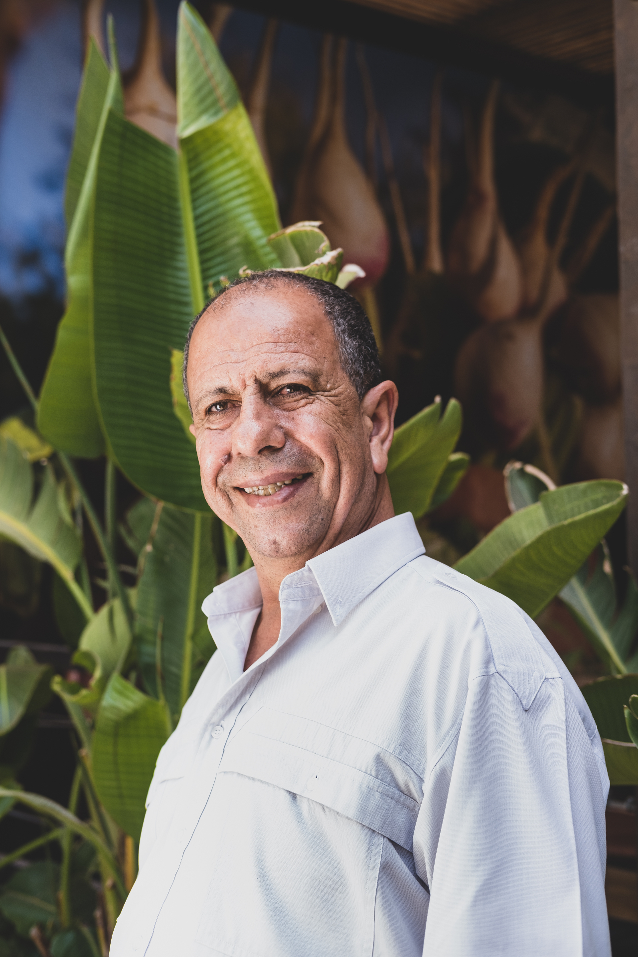 Prof. Ahmed Hamdaoui, PhD